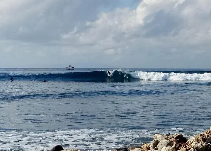 Dalem Surf Retreat ロッジ